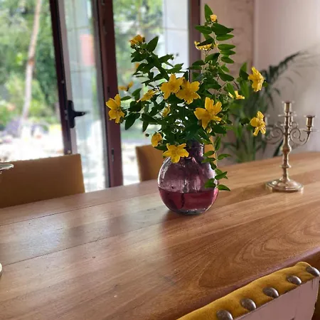 Bed & Breakfast Mon-domisiladore